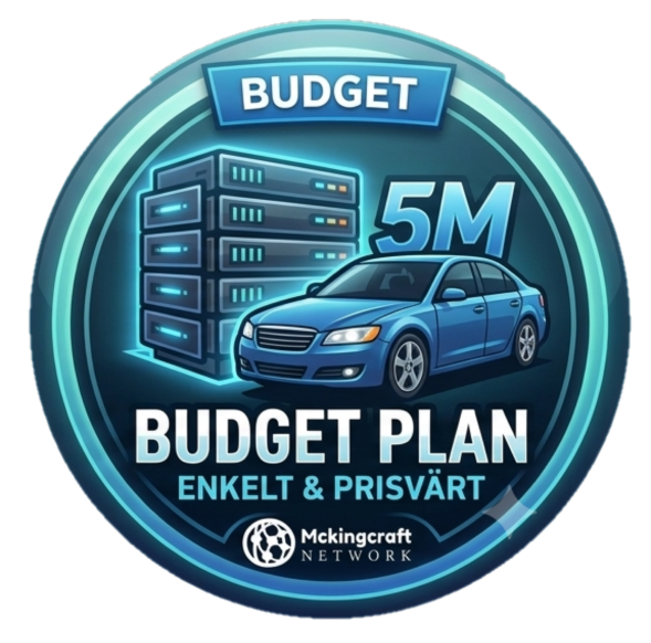 FiveM - DDR4 Budget.