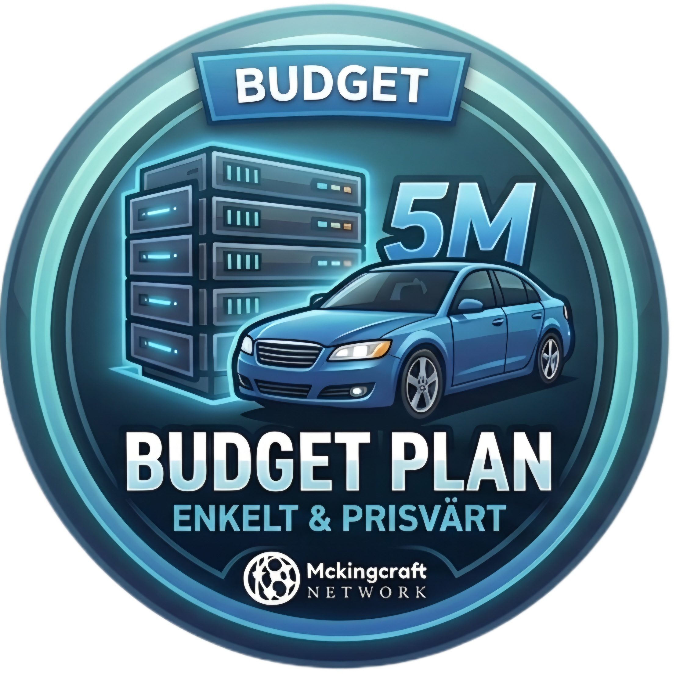 FiveM - DDR4 Budget.
